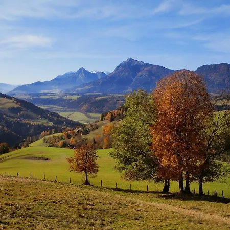 Gasthof Back'n Hansl